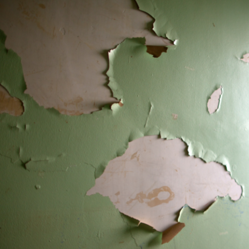 Read more about the article Looking out for Lead Paint