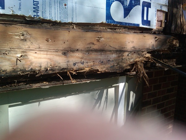 Read more about the article How To Tell If You Have Wood Rot