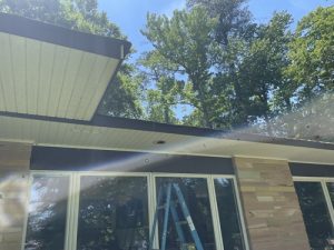 Read more about the article PVC Vs. Wood