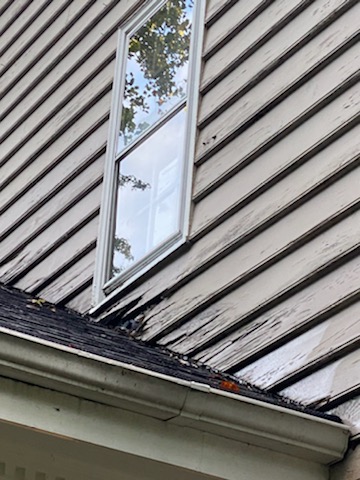 Wood Rot Specialists in Yorktown and Williamsburg Virginia